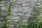 Lucky Baygreen-walls-4.jpg; ?>